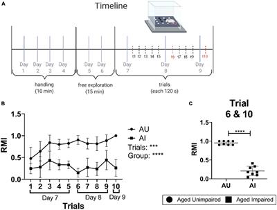 Leukotriene signaling as molecular correlate for cognitive heterogeneity in aging: an exploratory study